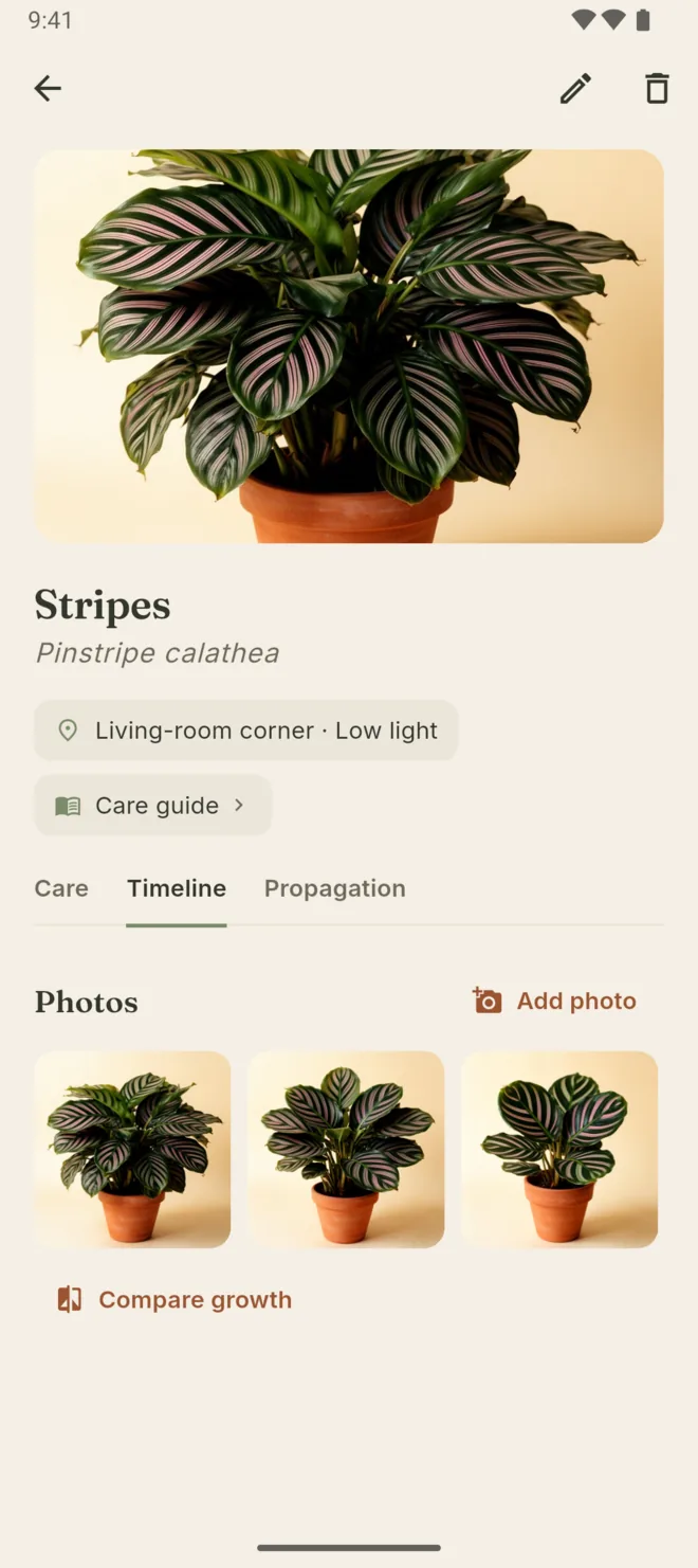 Android: a plant's photo timeline