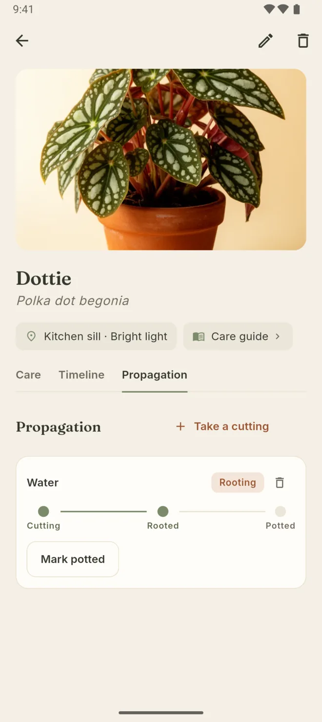Android: a cutting at the rooting stage