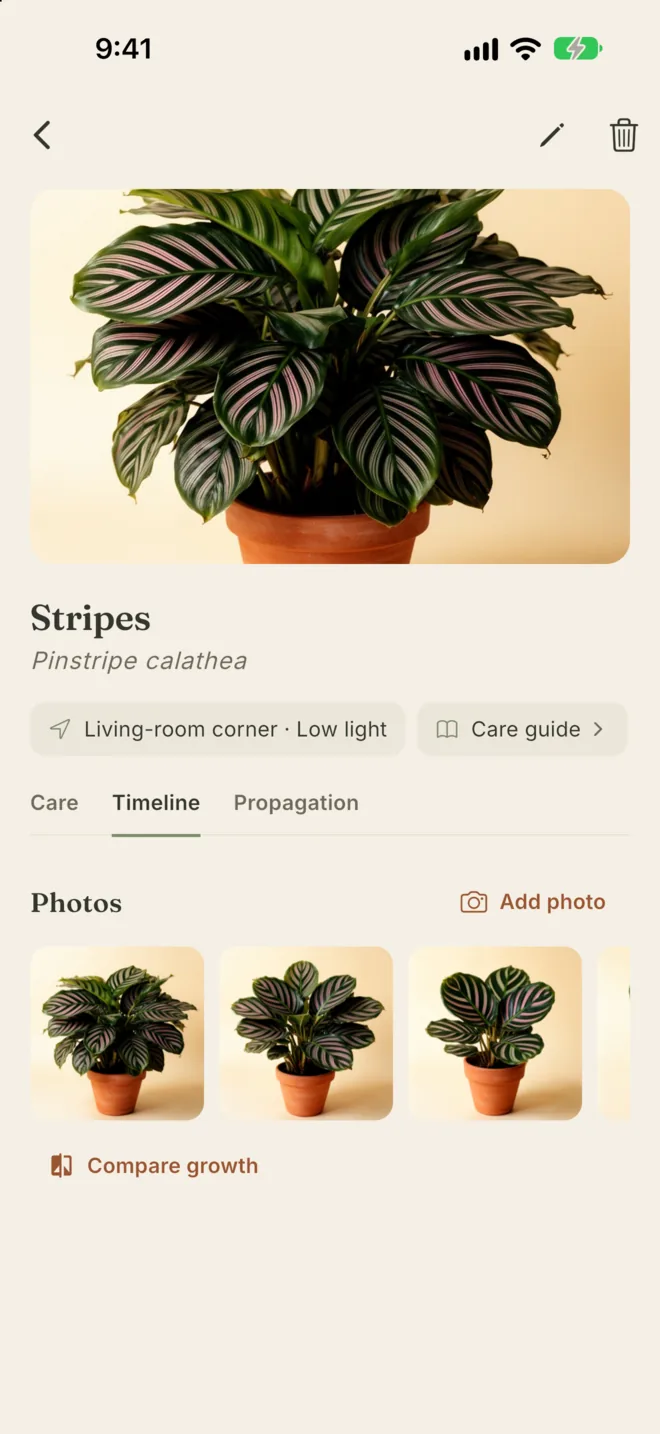 The timeline for Stripes, with a row of growth photos