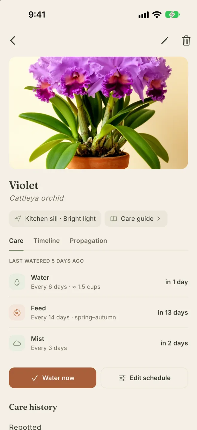 Violet the Cattleya orchid: last watered 5 days ago, with water, feed and mist schedules