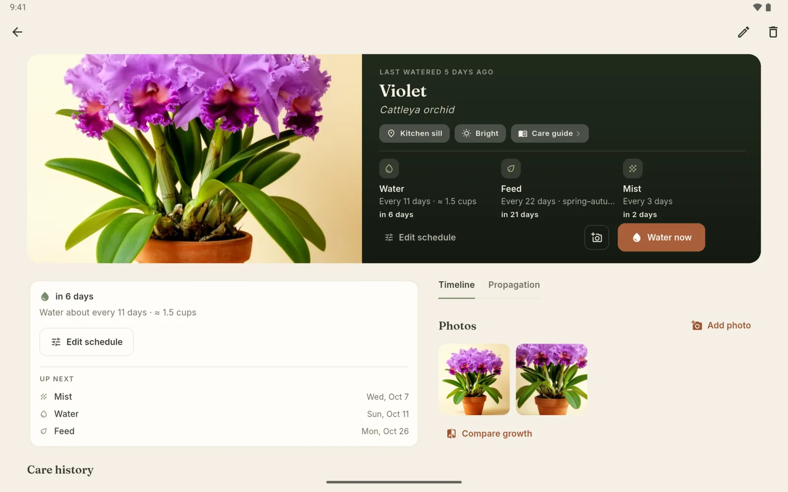 Android tablet: Violet's page